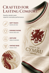 Men's Welsh Dragon Printed T-shirt