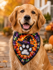 Pet Halloween Triangle Scarf