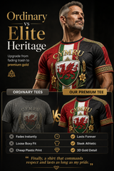 Men's Welsh Cultural Element Art Print T-Shirt